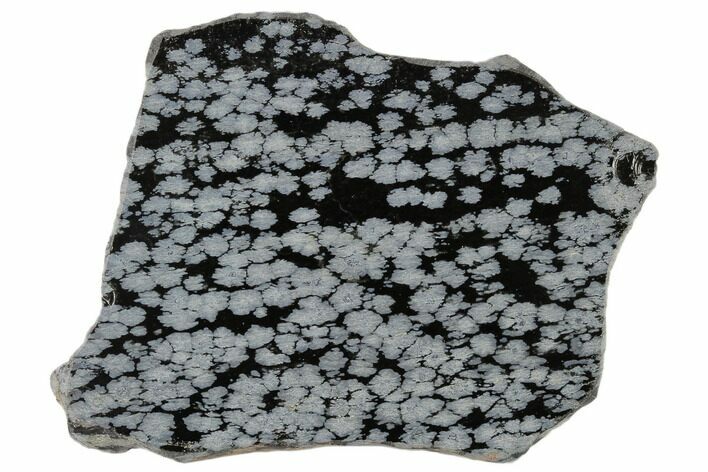 Polished Snowflake Obsidian Section - Utah #117780
